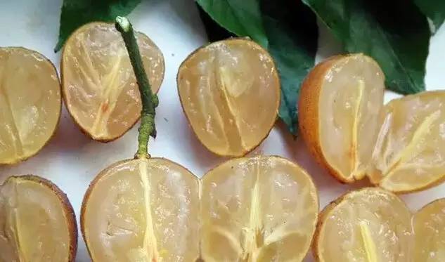 防中暑的水果,防中暑的水果有哪些