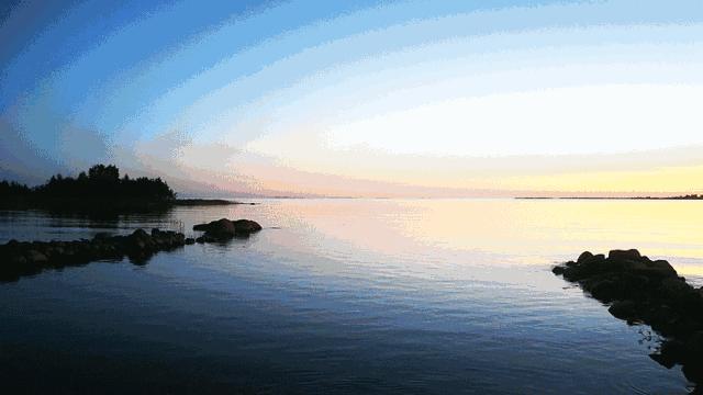 野兔计划放逐者名单公布|那么多人里,我们找到了你!