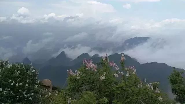 云顶草原花海,驼梁云顶草原风景