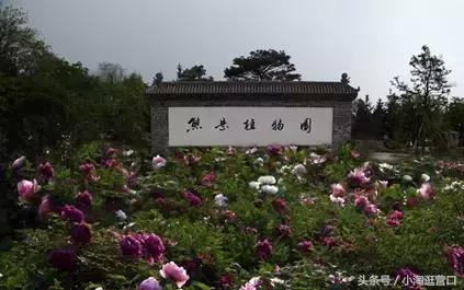 营口景点第一名,营口最美打卡地