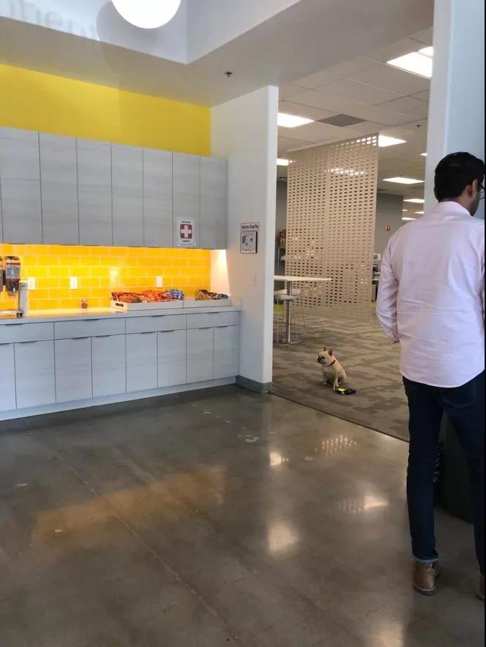 带狗狗去外面吃饭,狗狗不让其他狗进家怎么办