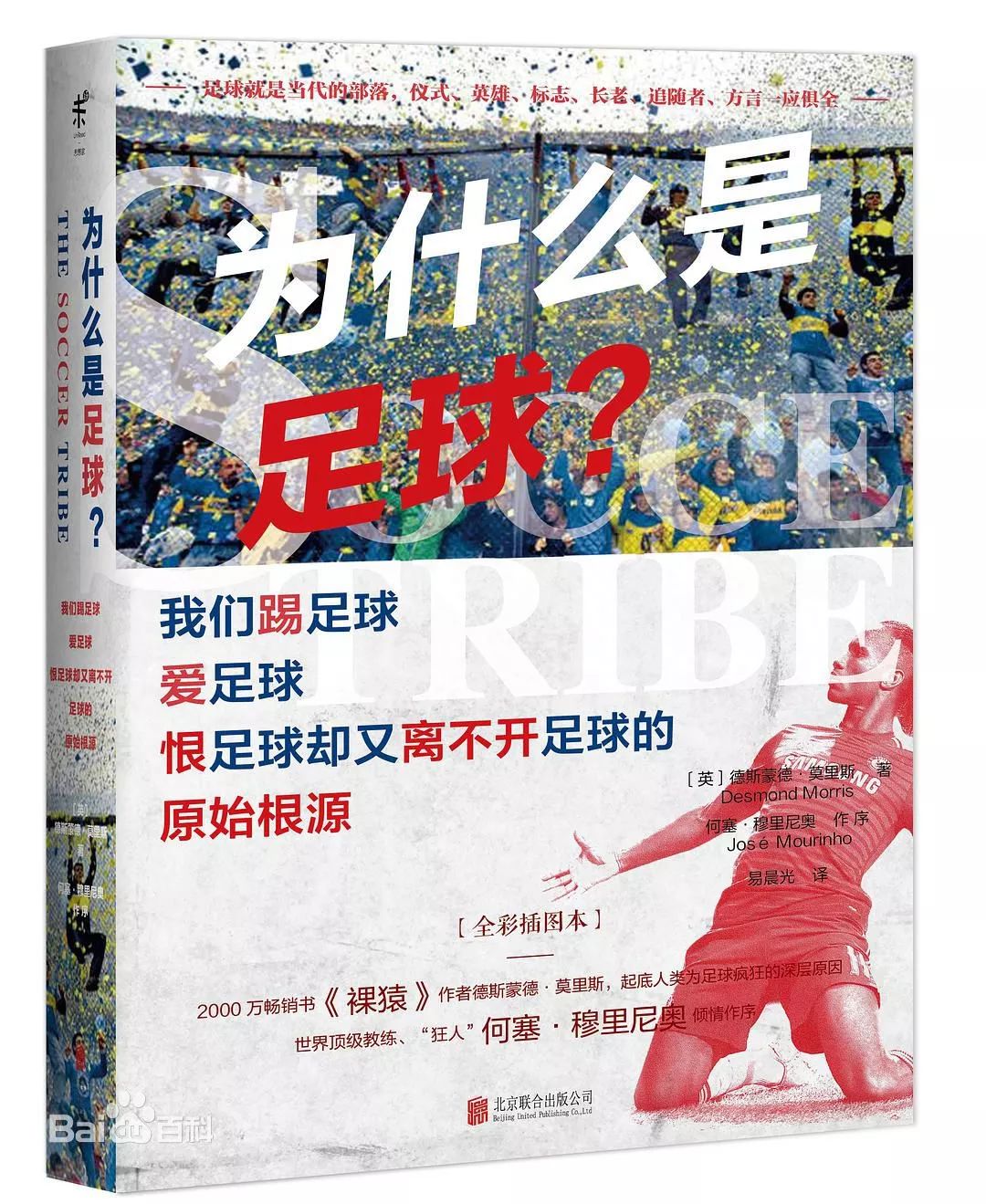 世界杯你不知道的那些事,世界杯你不知道的事情