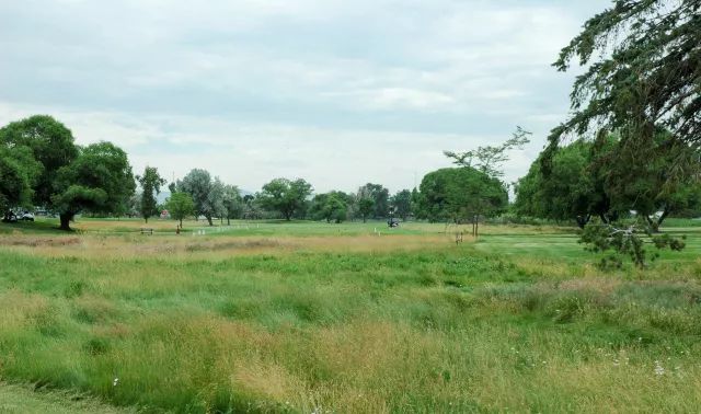 打球了吧？被咬了吧？没想到球场有蚊子吧？快拿好球场防蚊*法大**！