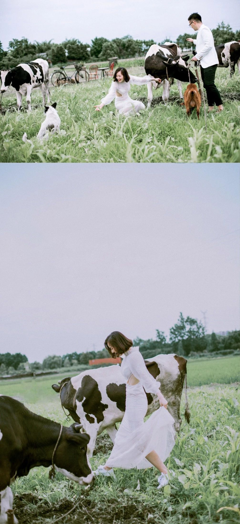 墨凯视觉婚纱摄影选片套路,墨凯视觉婚纱摄影坂田店