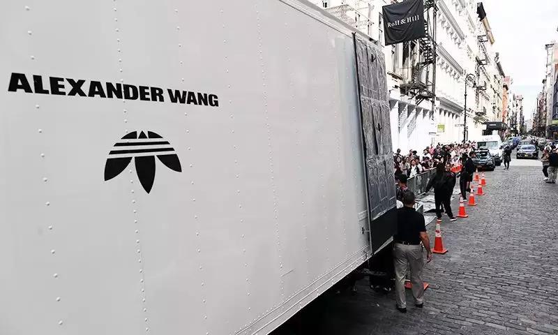 关于三叶草的知识,三叶草经典贝壳头不跟脚怎么办