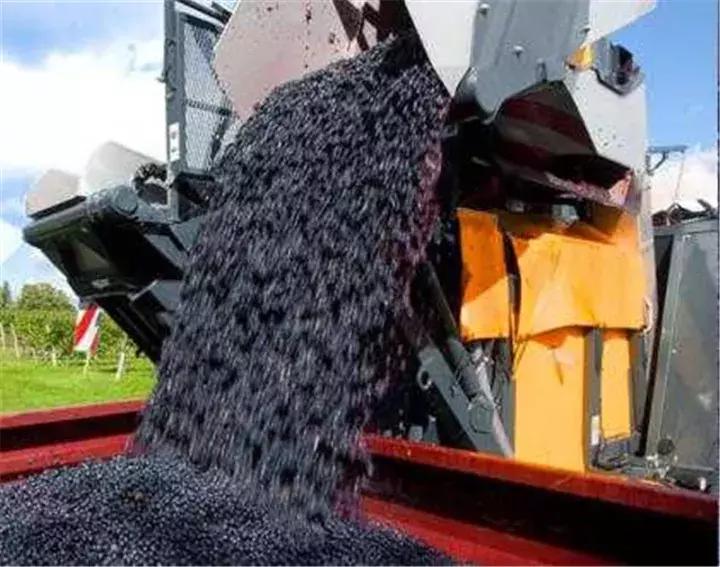 国外让人惊叹的农机收割葡萄,德国收割机收葡萄视频