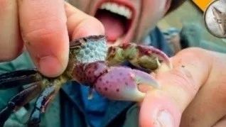 因体臭致飞机迫降,飞机最离谱的迫降原因