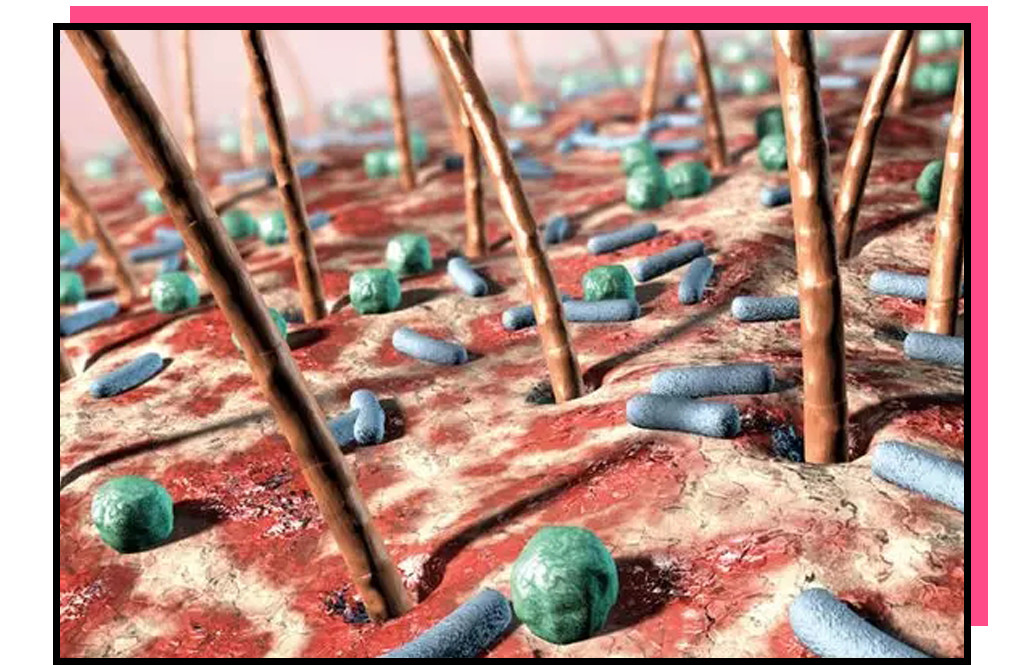 被体味毁掉的中国姑娘！