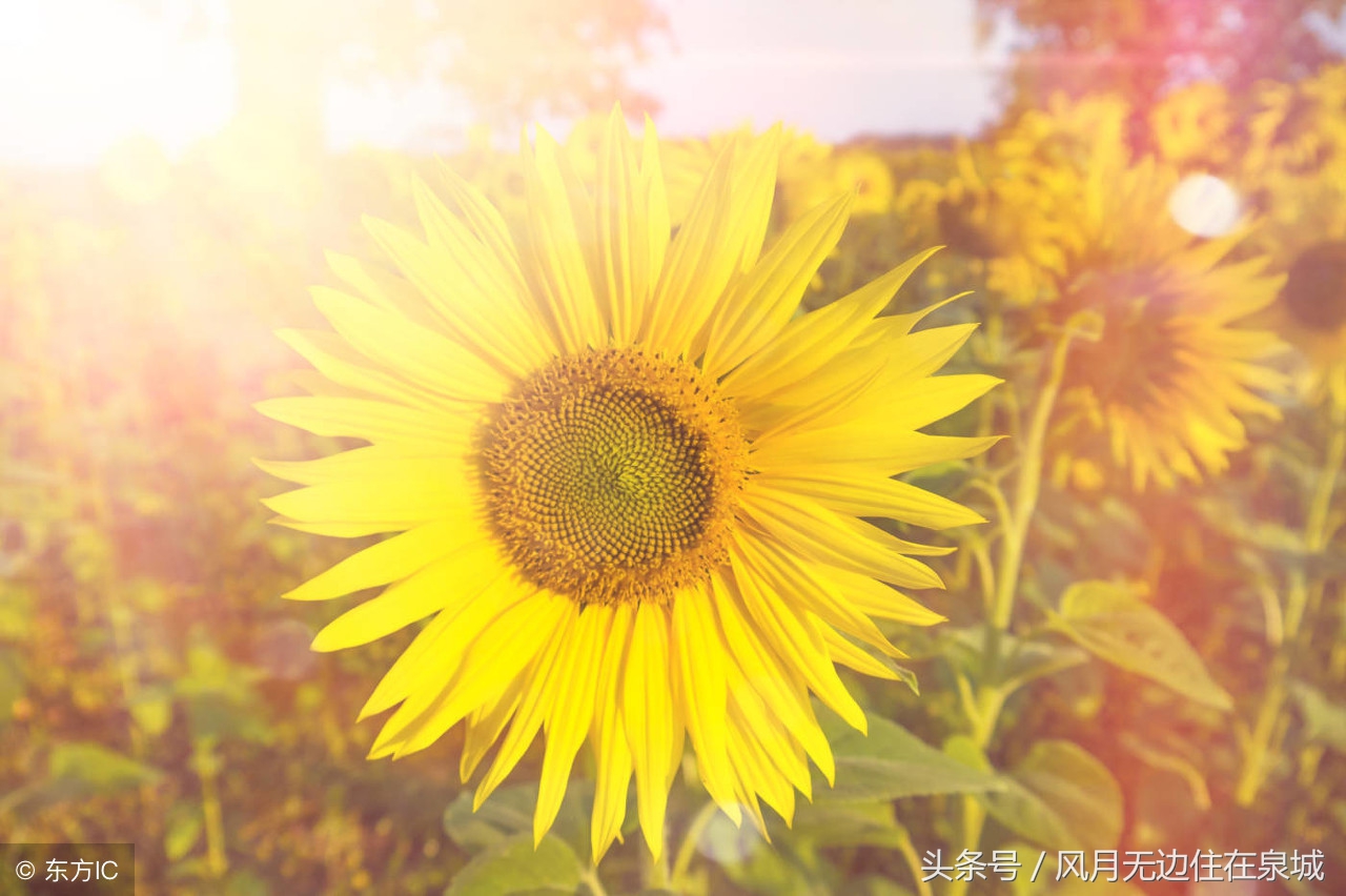 明年起哪些费用全部取消,3月1日起哪些费用全部取消