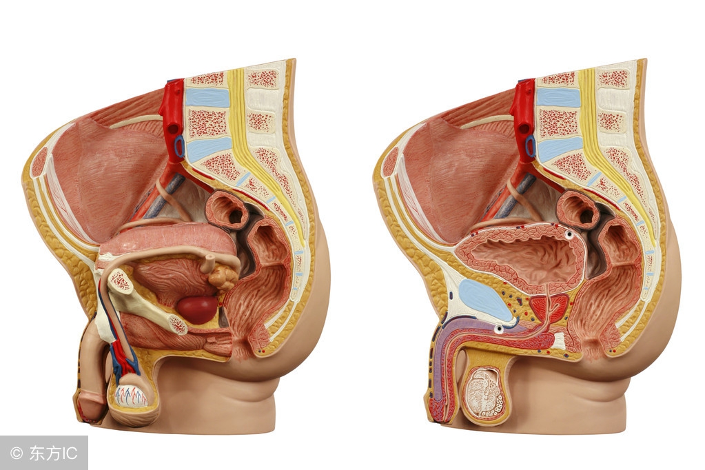 盆腔积液，女人的红颜祸“水”