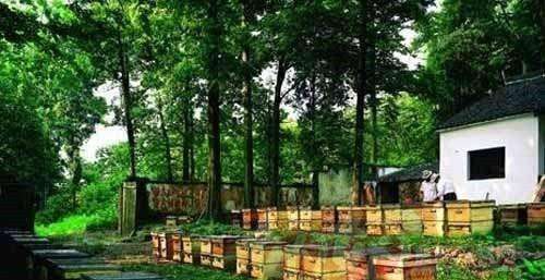 有了它，再也没人买假货了