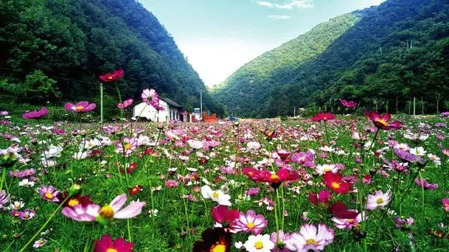 陕西最具发展潜力的5个县,陕西未来5年搬迁村名单