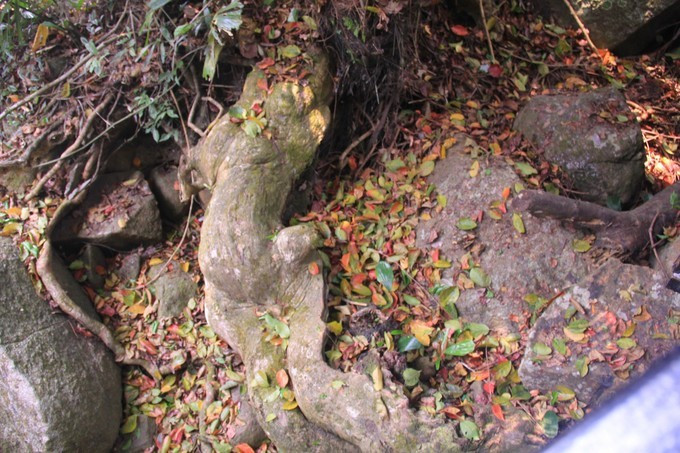 恋上这片海,一个人绚丽多彩的三亚自由行