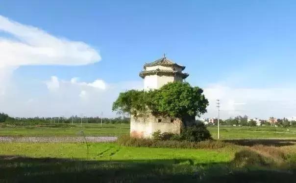 吴川超燃视频,吴川震撼的视频