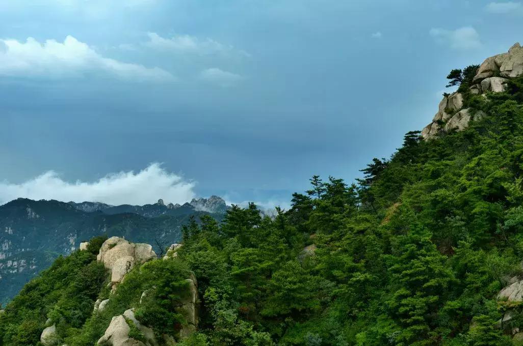 世界杯足彩中奖单,世界杯足彩怎么中奖最多