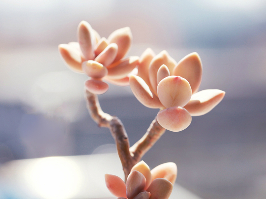 写作命题的技巧和方法,半命题作文题目与写作技巧