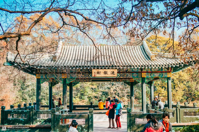 南京比较火的小众东西,南京比较好玩又小众的地方