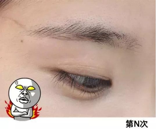 画眉教程推荐适合新手,画眉推荐初学者