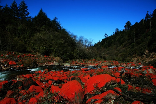 石棉县盛产石棉吗,石棉县盛产石棉