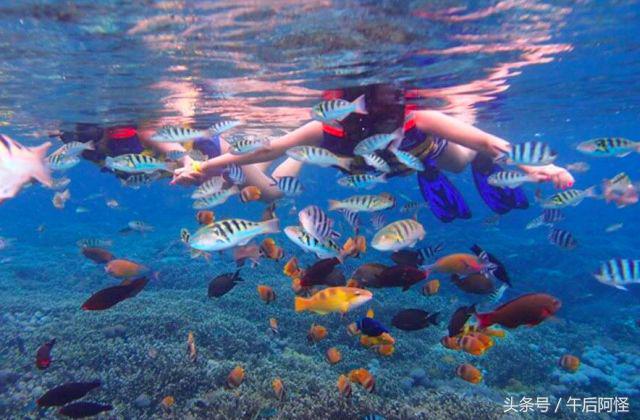 巴厘岛自由行15天,巴厘岛9天攻略