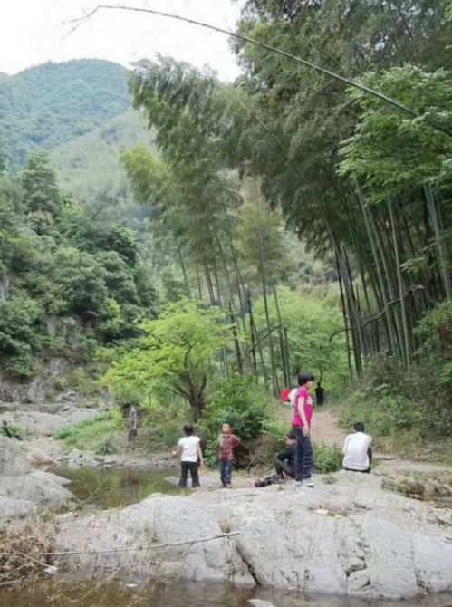 「词风雅韵」冯振宇｜一站青石昂仰鸣三声驱散满天星