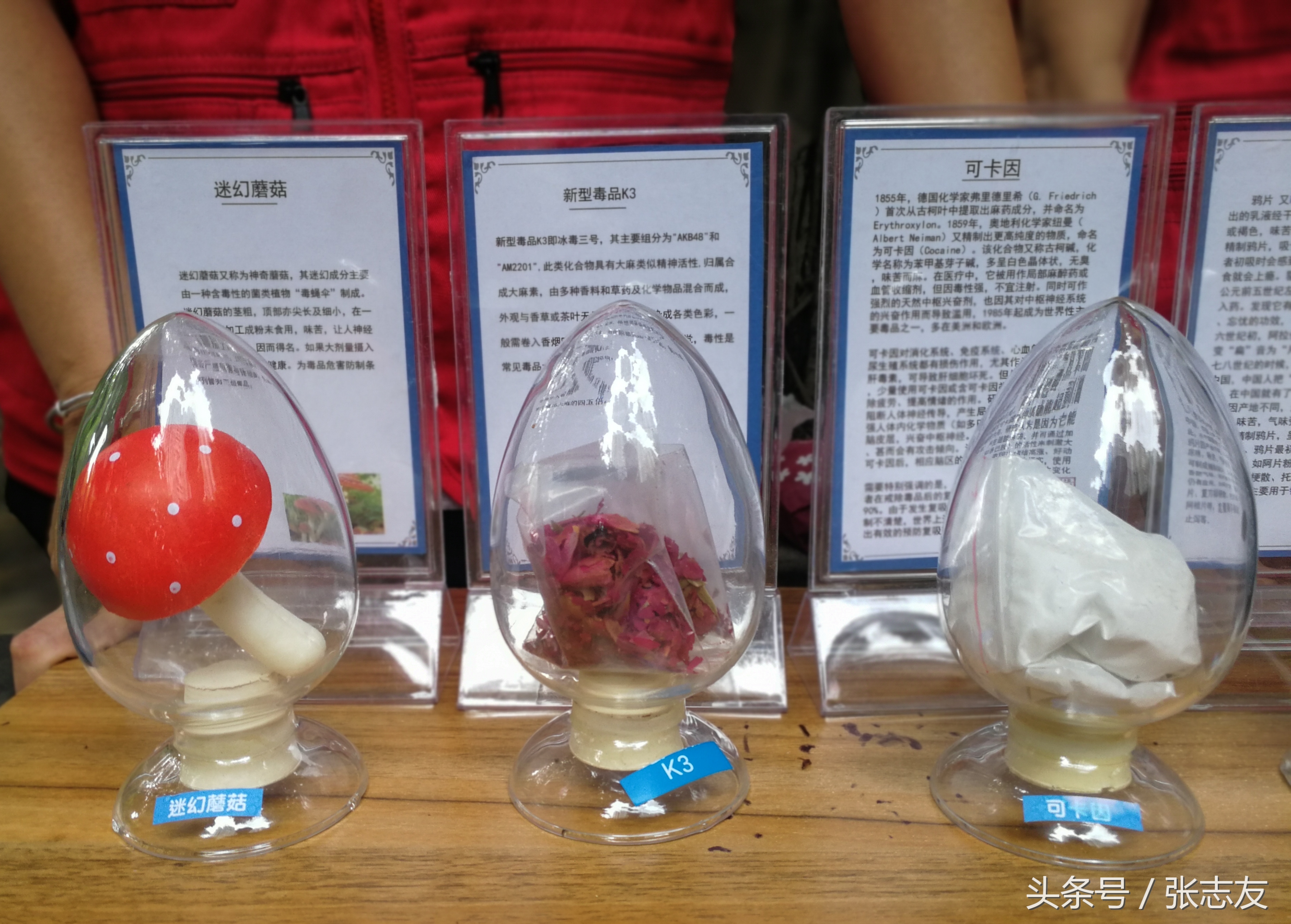 禁毒宣传你必知道的知识,禁毒宣传日一览表