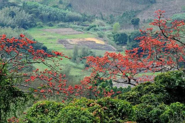 濡傛灉浣犳病鏉ヨ繃娓呮锭,濡傛灉浣犳病鏉ヨ繃绋诲煄