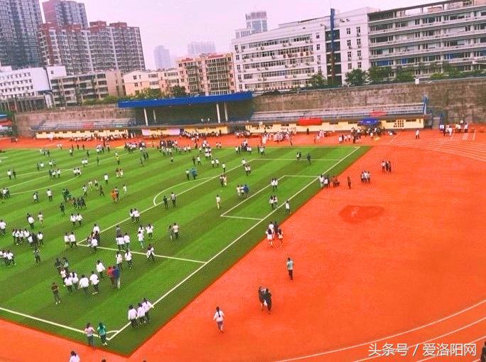 再见再见渡边淳一小说简介,再见原作