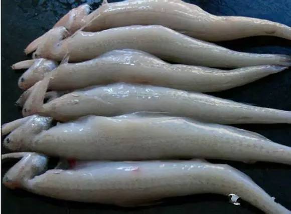 日照有什么好玩的地方,日照金山