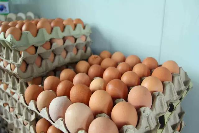 爱的本质是自由原唱,爱的本质是自由是勇敢