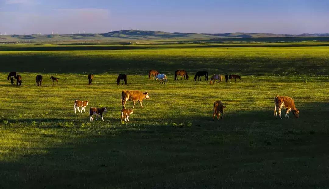 天津出发两小时能到达的地方,天津出发一日游坐火车
