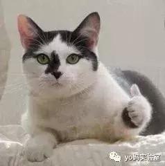 宝宝被蚊子叮了怎么止痒消肿？测评后我发现网红产品竟然最有用！