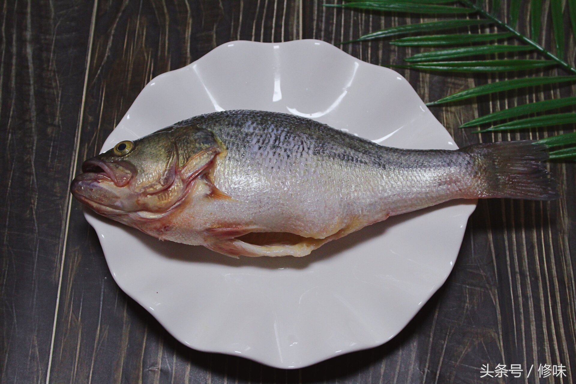 清蒸鲈鱼的正确做法和步骤,清蒸鲈鱼的做法鲜嫩q弹无腥味