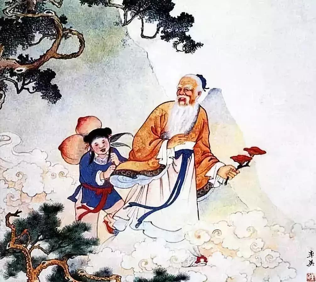 灵芝为什么那么有灵气,灵芝的传说怎么这么神奇