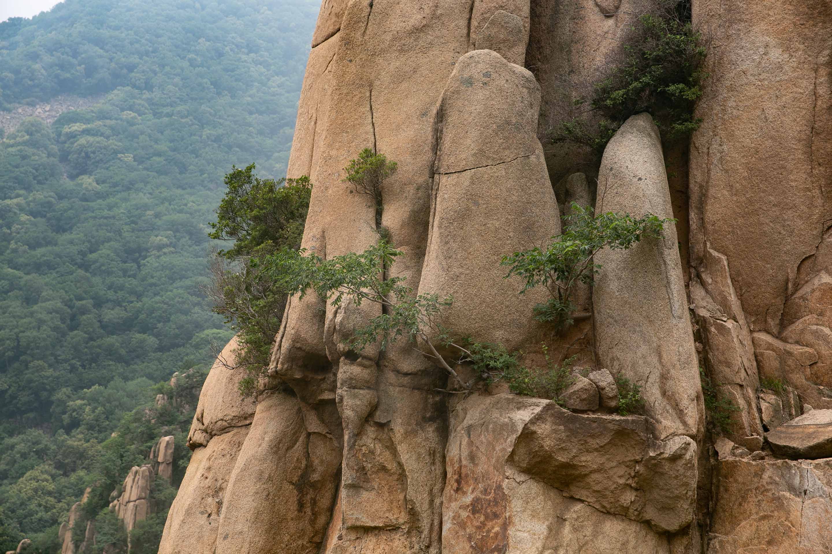 秦皇岛避暑一日游攻略,秦皇岛旅游祖山攻略