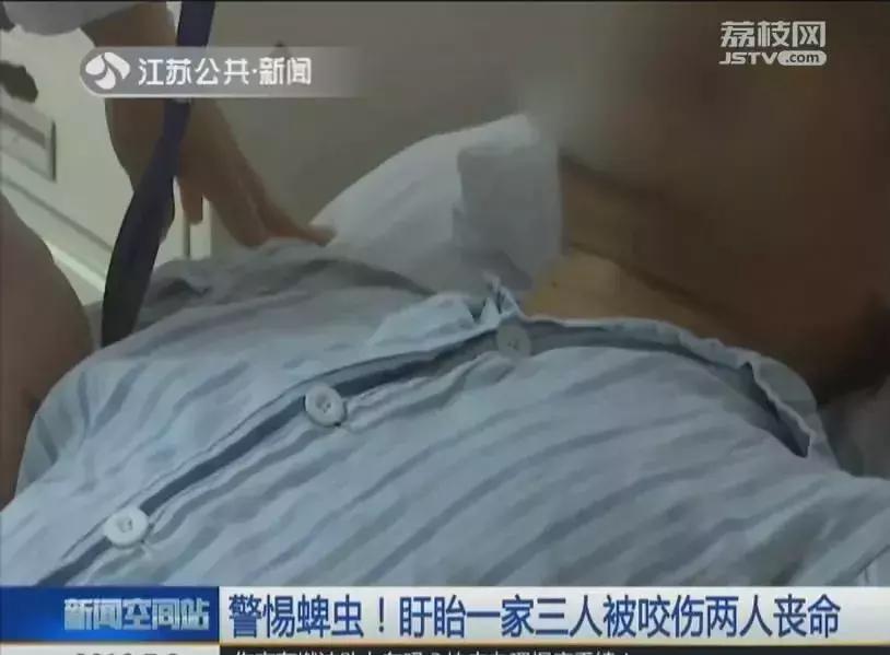 一家三口被刺身亡案,江苏一家三口被不知名虫子叮咬