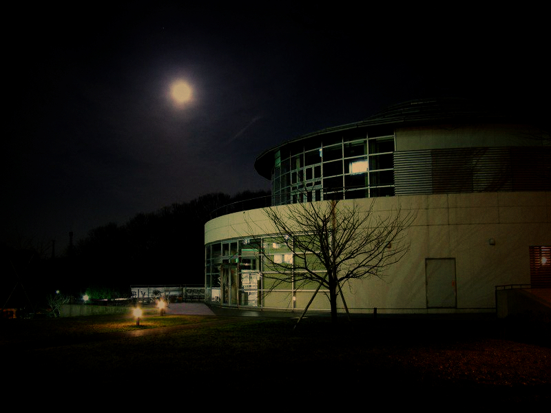 日本东京工业大学最好的专业,世界大学排名日本