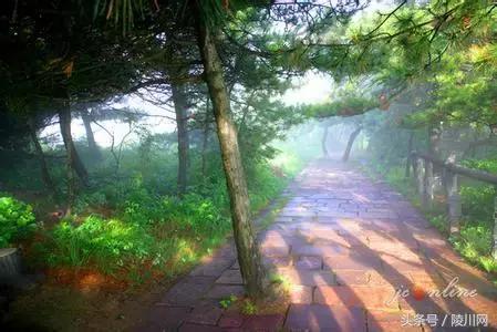 热吗来杯春茶解渴,热吗来杯热茶