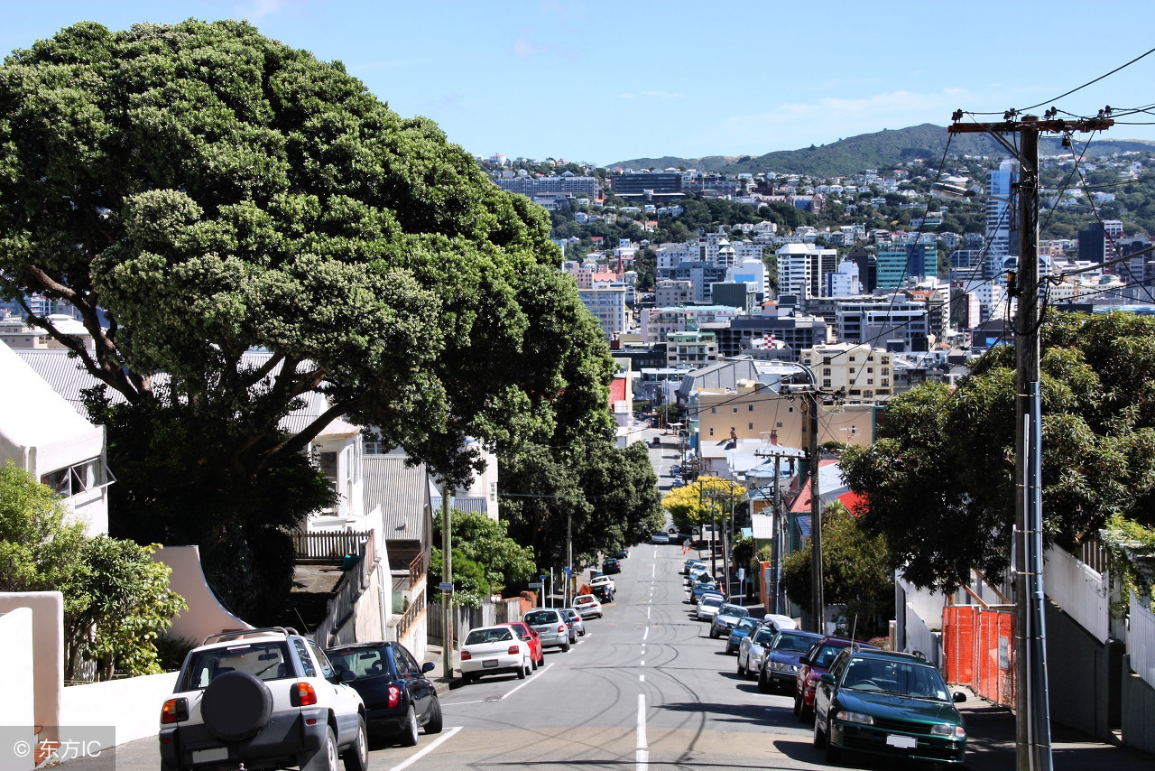 新西兰中国进口奶,新西兰乳制品出口