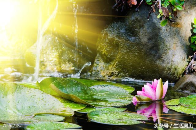 人到中年才明白什么人值得交往,适合中年人的相处境界