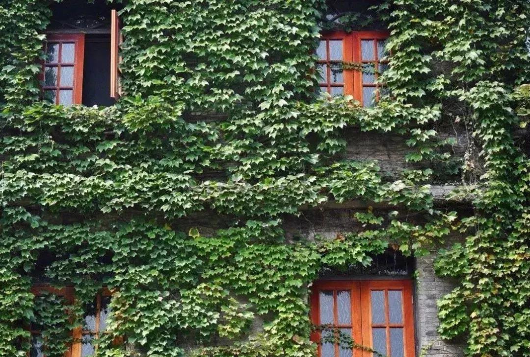 成都市区绿野仙踪,绿野仙踪成都二环