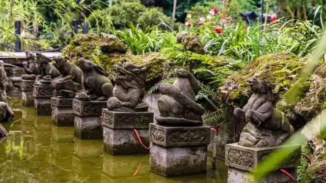 郫都区吃住两天一夜一体农家乐,郫都农家乐垂钓休闲一体