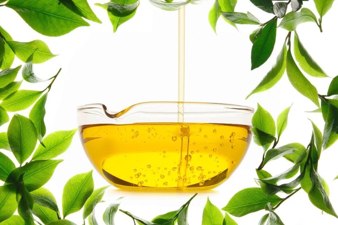 中国茶油产业,茶油产业发展政策