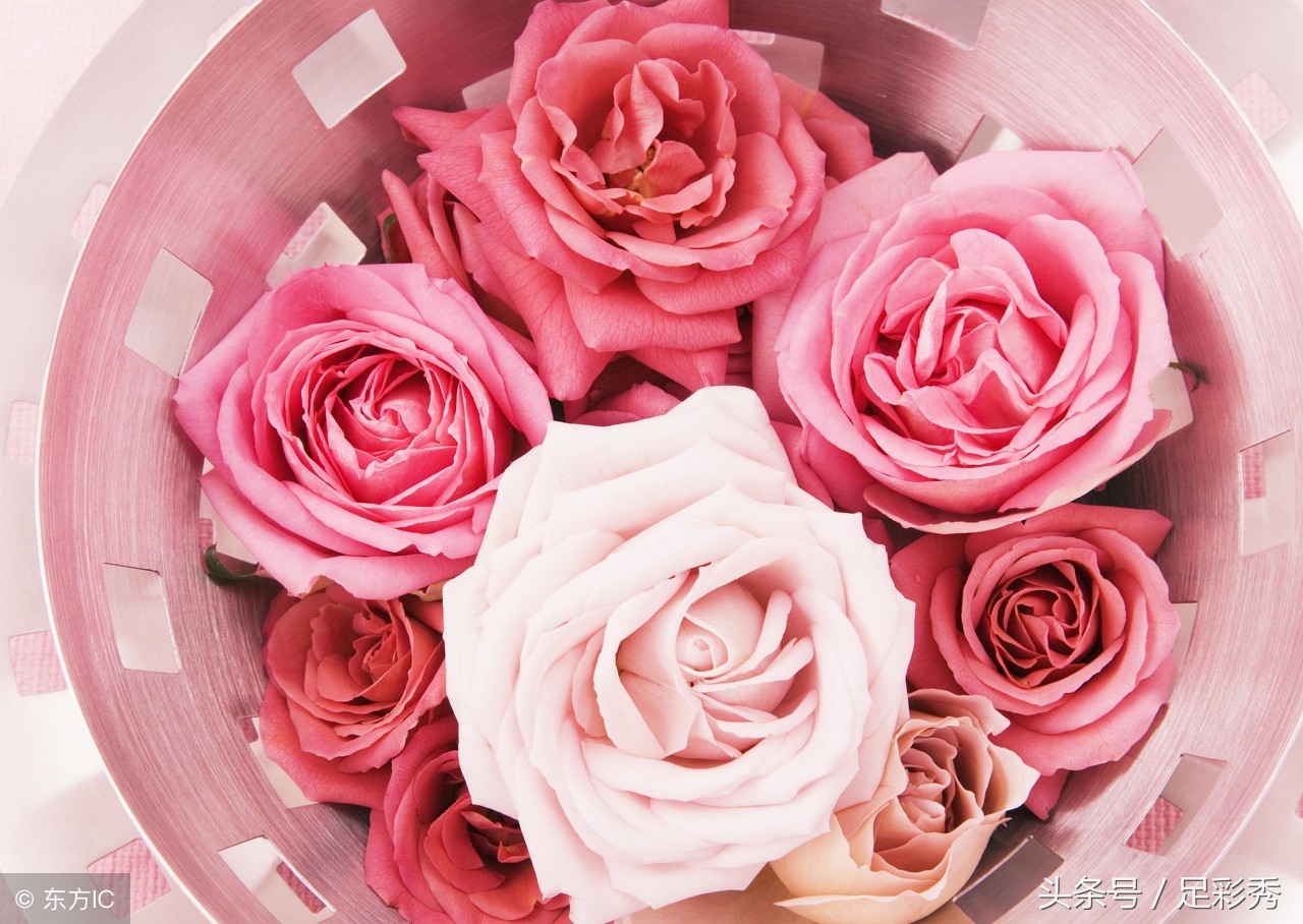 2018082期双色球推荐：奖池再高都与我无关，只要中个小奖就开心