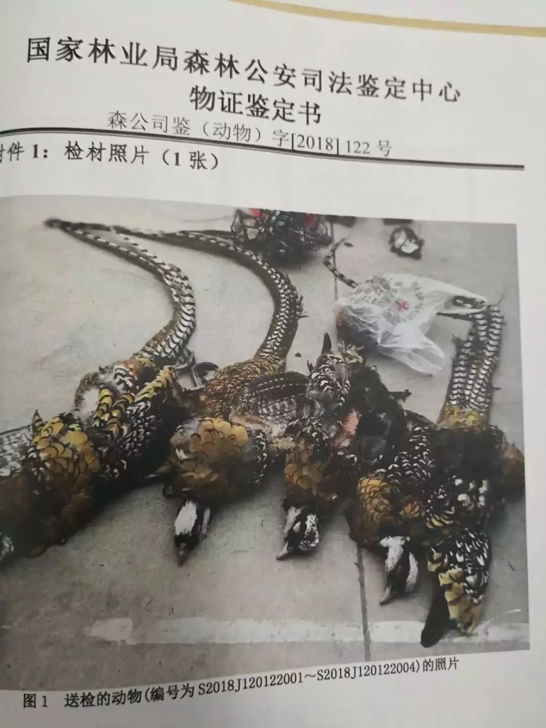 吃了四只鸡被判刑,吃了一只鸡被判五年