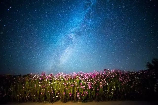 沙漠七星湖景区,迪拜沙漠探索票价