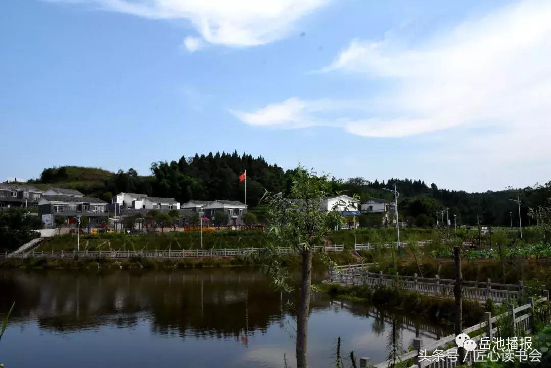 荷花节广安,岳池白庙荷花基地