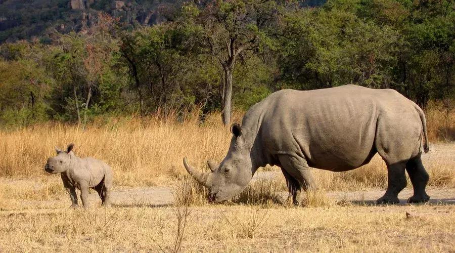 又一个对中国免签的国家,又1个免签国对中国开放