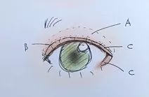 各种眼型眼影矫正,骨灰级眼影