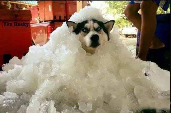 冰垫真的有降温效果吗,汽车冰垫真的有降温效果吗